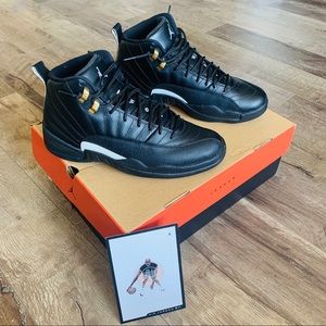 Jordan Retro 12 The Master